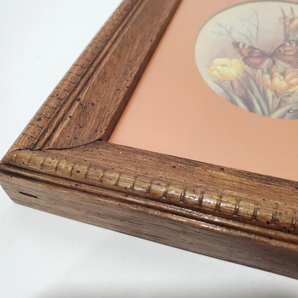 Vtg Kay Lamb Shannon Wood Framed Butterfly Print Entomology Art 9" x 7" - Picture 8 of 11